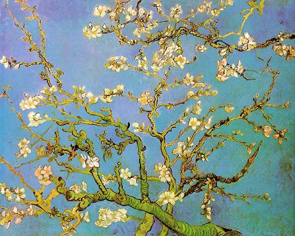 Винсент Ван Гог "Ветви миндального дерева в цвету"